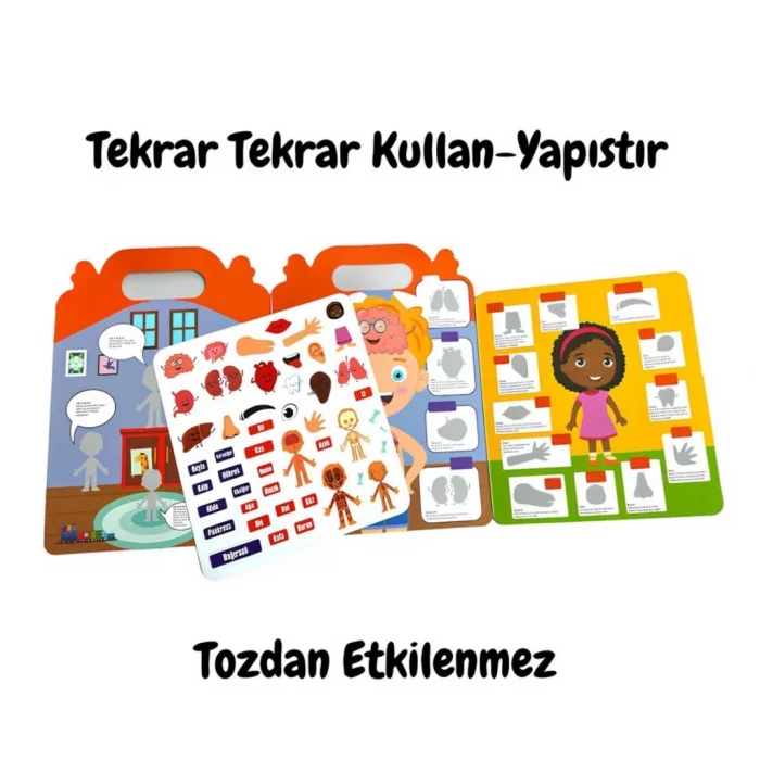 Tekrar Kullanılabilen İlk Sticker Kitabım My Body