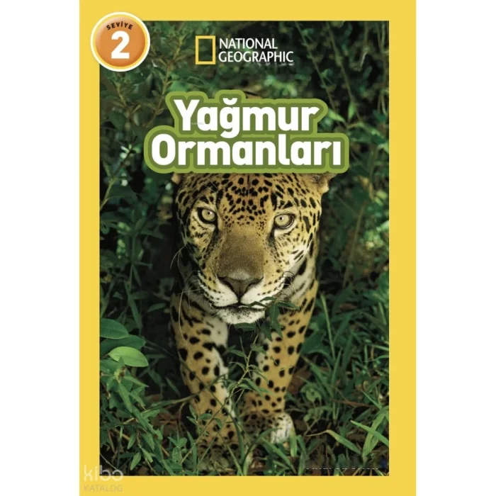 Yağmur Ormanları