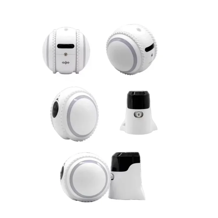 Yapay Zekalı Güvenlik Kamerası Çift Yönlü Ses ve Gece Görüş Özelliği