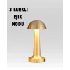 %100 Kademeli Ayarlanabilir Işık – USB Şarjlı Masa Lambası