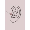 316L Çelik Gümüş Renk Dal Model Zirkon Taş Detaylı Tragus Piercing
