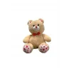 35 CM PATİLEN KALPLİ AYI -HLY