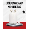 El Tipi USB Mini Soğuk Mist Nemlendirici 220 ml Tank
