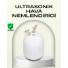 ABS+PP Malzemeli Taşınabilir 220 ml USB Mist Nemlendirici