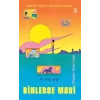 Binlerce Mi