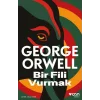 Bir Fili Vurmak