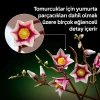Botanicals Manolya Dalları 11510