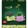 Botanicals Sallanan Bitkiler 11506