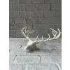 Dekoratif Geyik Başı Heykel 25 cm Modern Minimal Tasarım