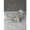 Dekoratif Geyik Başı Heykel 25 cm Modern Minimal Tasarım