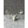 Dekoratif Geyik Başı Heykel 25 cm Modern Minimal Tasarım