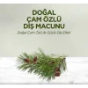 Doğal Diş Macunu 90 Gr Çam Özlü