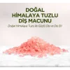 Doğal Diş Macunu 90 Gr Himalaya Tuzlu