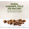 Doğal Diş Macunu 90 Gr Karanfil