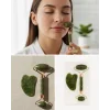 Doğal Yeşim Taşı Yüz Masaj Roller ve Gua Sha Seti 2 Parça
