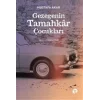 Gezegenin Tamahkar Çukları