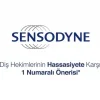 Hızlı Rahatlama Whitenig Diş Macunu 75Ml 1 Adet