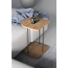 Hnd Tekerlekli Oval Sehpa Çam
