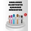 Kablosuz Bluetooth Karaoke Mikrofon  Yankı Efektli
