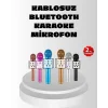 Kablosuz Bluetooth Karaoke Mikrofon  Yankı Efektli