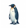 Kadın 3 İplik Pamuklu Kapüşonlu Hoodie Sweatshirt Survivor Penguen Baskılı - Beyaz