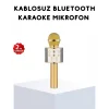 Karaoke Mikrofonu Bluetooth USB AUX Girişli Yankı Efektli