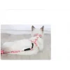 Kedi Gezdirme Göğüs Tasması