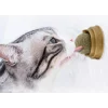 Kedi Otu Oyun Topu