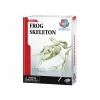 Kurbağa İskeleti Bilim Seti