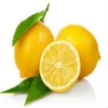 Limon Bonesi / 100 Adet /  Çayı Bonesi