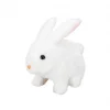 Sevimli Peluş Tavşan