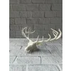 odern Geyik Başı Biblo 25 cm Zarif Masa Üstü Dekor