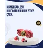 Orijinal 2025 Bluetooth Kulaklık Titreşim Uyarılı A Kalite Kablosuz