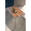 Orta Sehpa Kare Gümüş Ceviz Tel