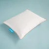 Othello Downa Kaz Tüyü Baby Yastık %30 Gıdık 35x45