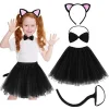 Etekli Pembe Kedi Seti -Taç, Kuyruk, Etek, Papyon Çocuk Boy