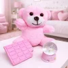 Pembe Peluş Ayıcık, Kar Küresi Ve Pembe Çikolata Not Defteri Hediye Seti