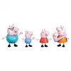 Peppa Pig ve Ailesi 5li Figür Seti +3 yaş