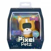 Petz Corgi Dijital Evcil Hayvanını