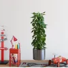 Saksılı Bitki Tasarımlı Yapışkanlı Sticker Resim 90*30 cm MC-665