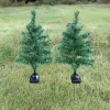 Solar Dekoratif Çam Ağacı