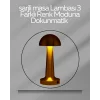 USB Şarjlı Dokunmatik LED Masa Lambası – 3 Renk Modu & Dimmer