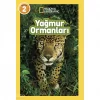 Yağmur Ormanları