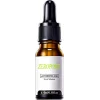 Zeropore Instant Perfection Bakım Serumu 30 ml