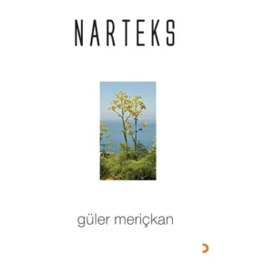 Narteks [Paperback] [Nov 14, 2024] Güler Meriçkan