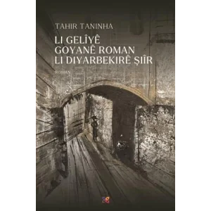 Li Geliye Goyane Roman Li Diyarbekire Şiir [Paperback] [Nov 14, 2024] Tahir Taninha