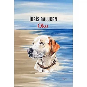 Oko [Paperback] [May 15, 2019] İdris Baluken