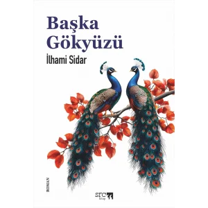 Başka Gökyüzü [Paperback] [Mar 27, 2025] İlhami Sidar