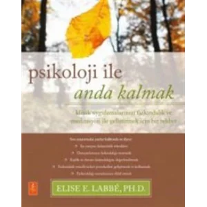 PSİKOLOJİ İLE ANDA KALMAK - Klinik Uygulamalarınızı Farkındalık ve Meditasyon ile Geliştirmek için Bir Rehber / Psychology Moment by Moment - A Guide ... Your Clinical Practice with Mindfulness [Paperback]