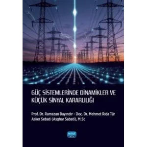 G?? Sistemlerinde Dinamikler ve K???k Sinyal Kararl?l??? [Paperback]